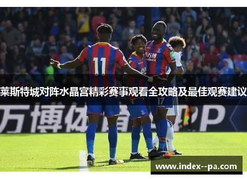 莱斯特城对阵水晶宫精彩赛事观看全攻略及最佳观赛建议