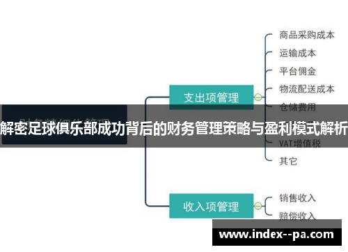 解密足球俱乐部成功背后的财务管理策略与盈利模式解析