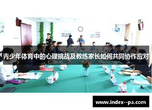 青少年体育中的心理挑战及教练家长如何共同协作应对
