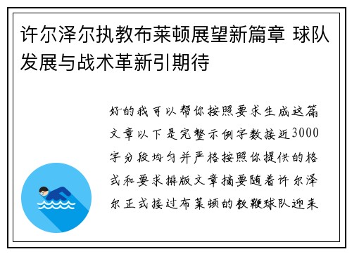 许尔泽尔执教布莱顿展望新篇章 球队发展与战术革新引期待